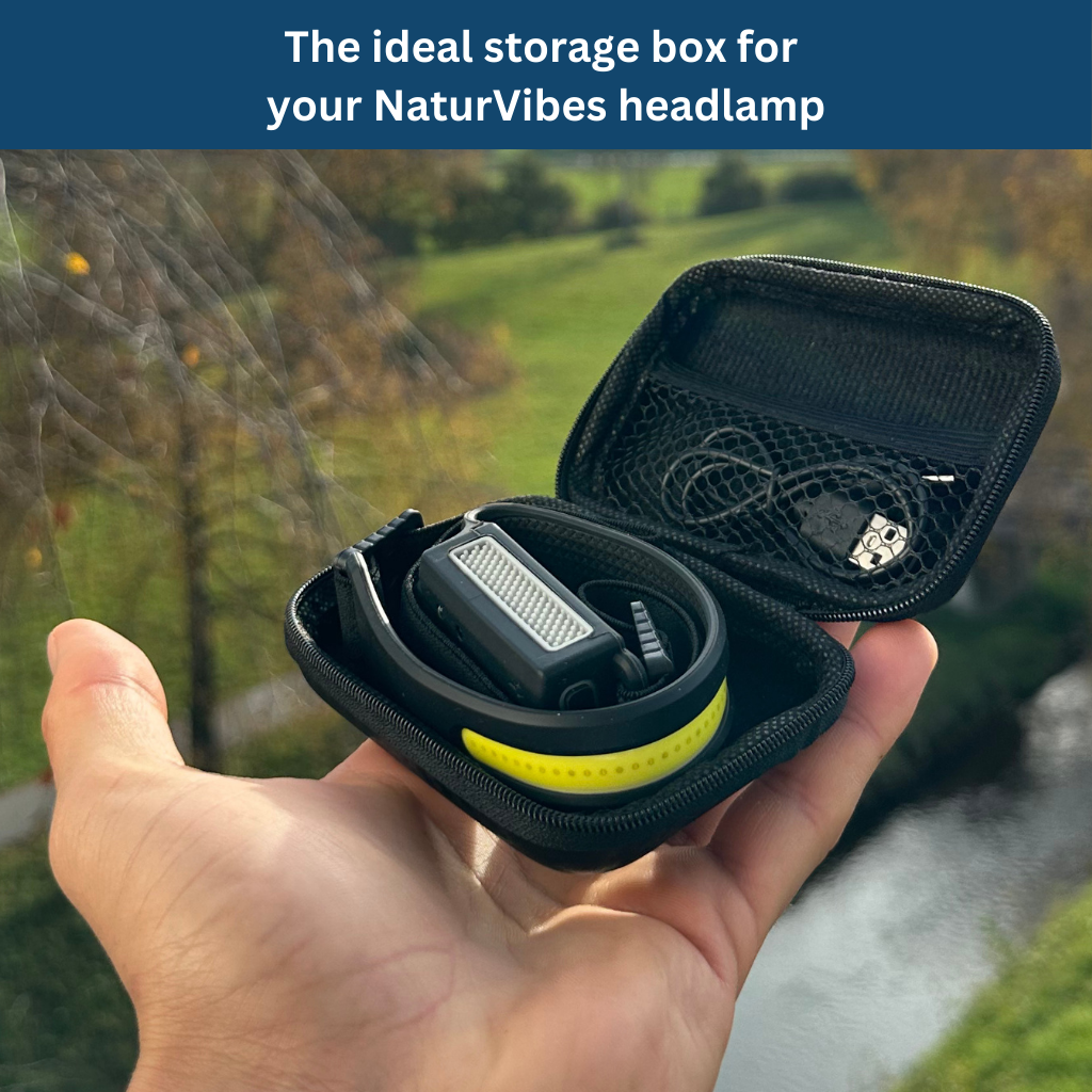 Storage Box - Headlamp
