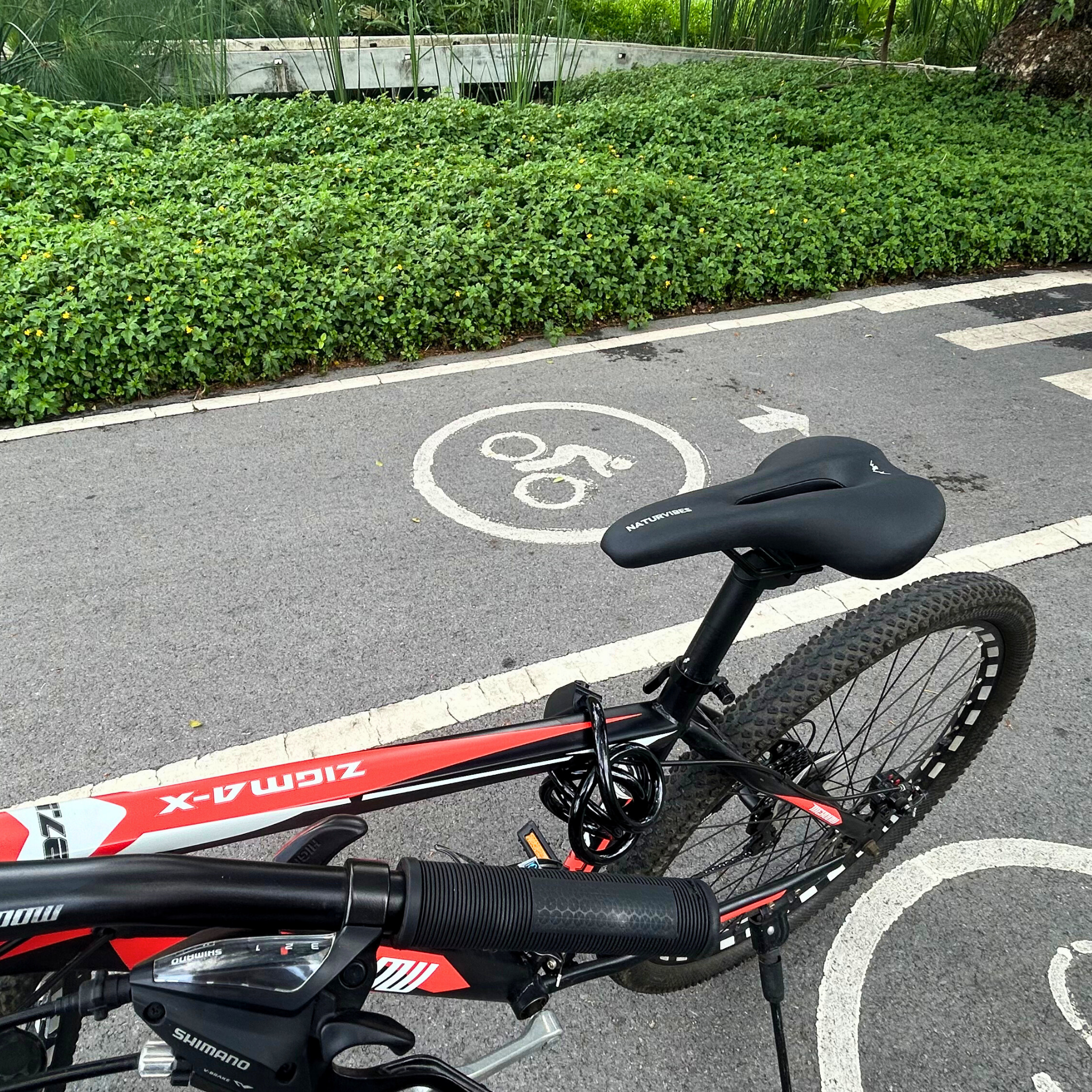Bike Saddle Performance