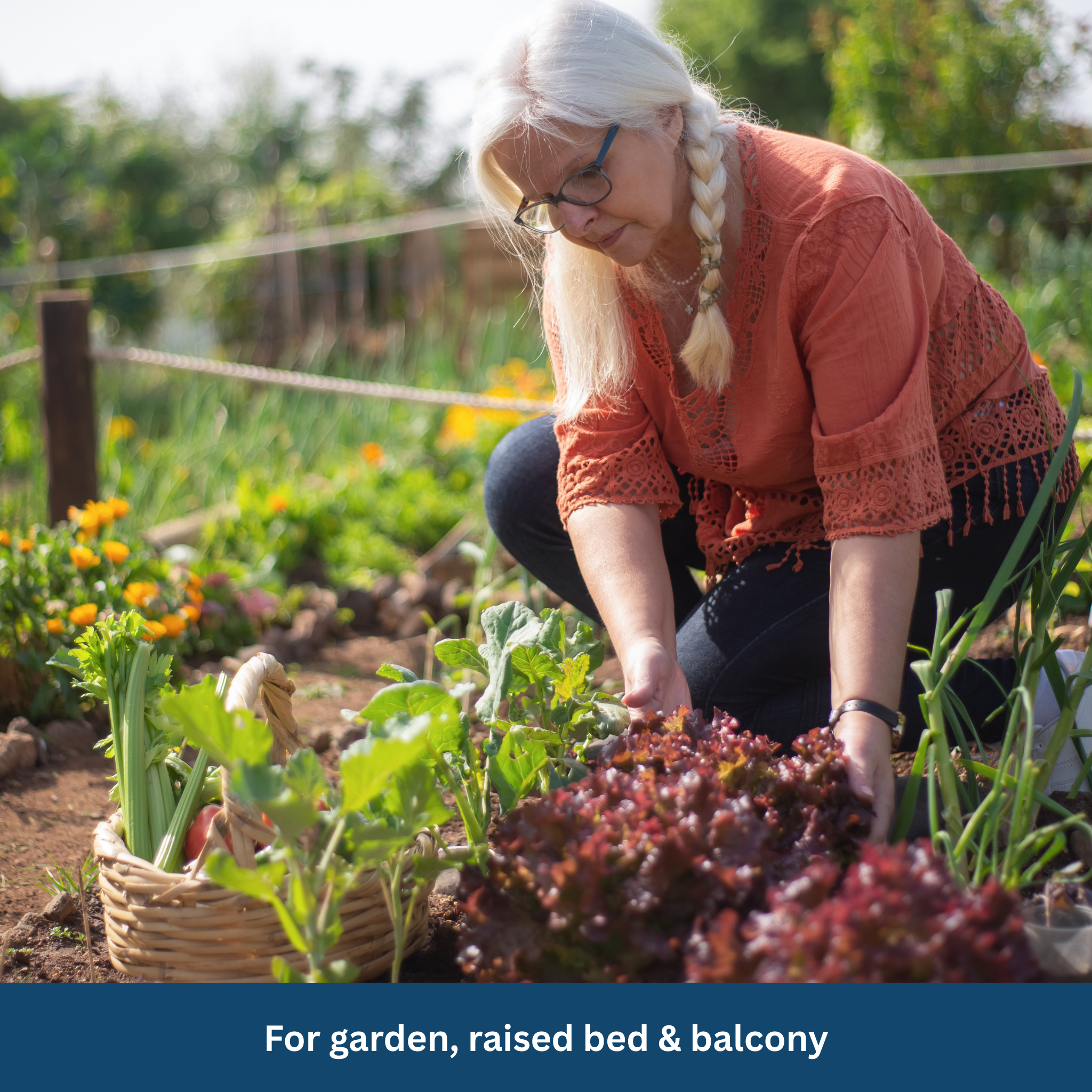 Survival Garden Set – 35 Organic Varieties, 16,000+ Seeds