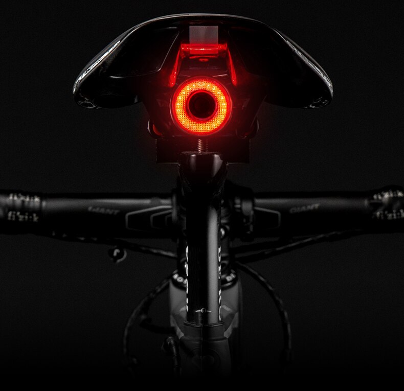 Smartlight Bicycle Tail Light