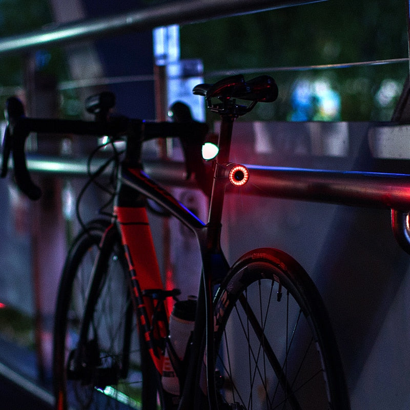 Smartlight Bicycle Tail Light